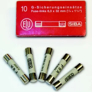 Top-Angebot Siba G-Sicherung F 4A 189020
